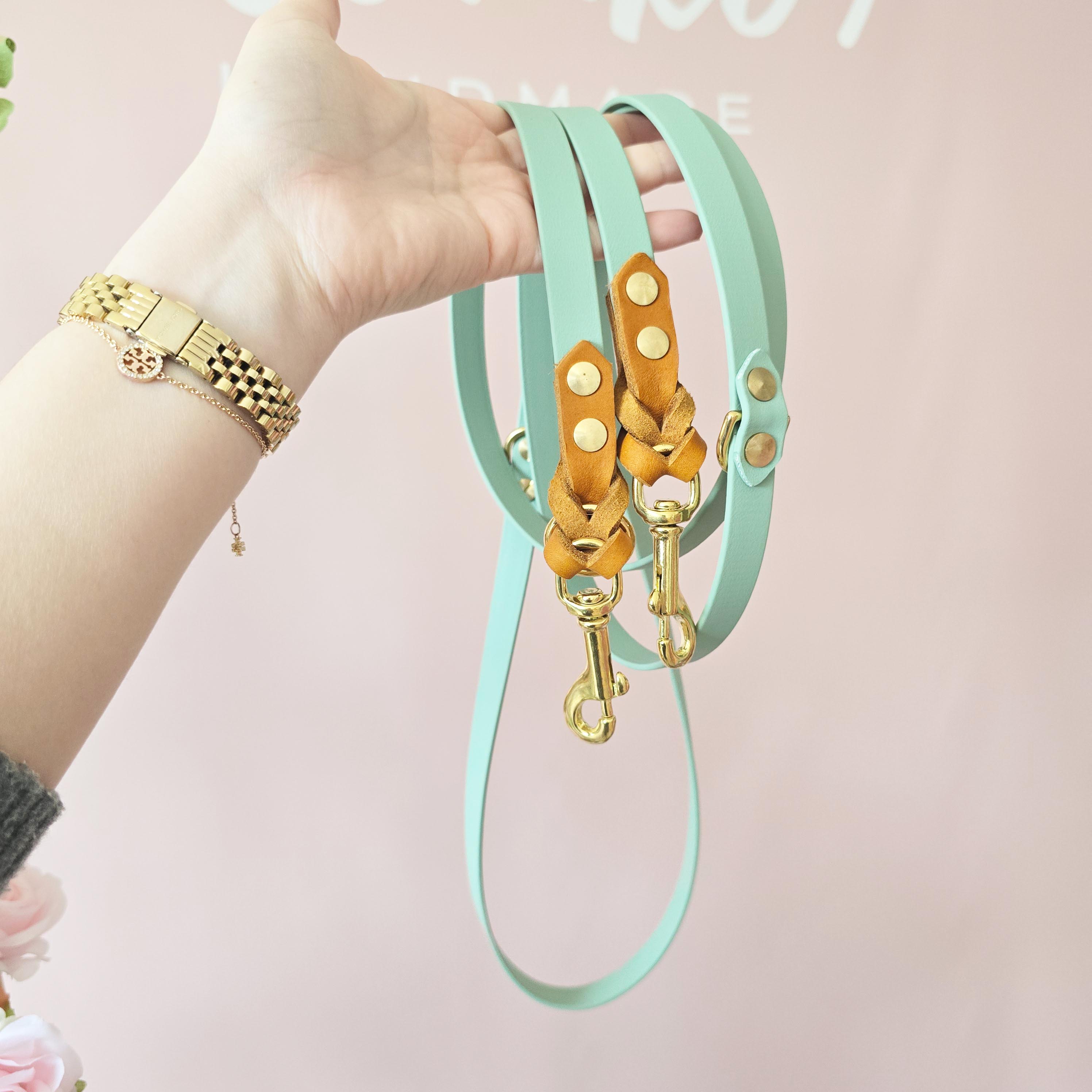 Biothane Leine 2,3m mit Lederdetails Eukalyptus (mittlere Karabiner)