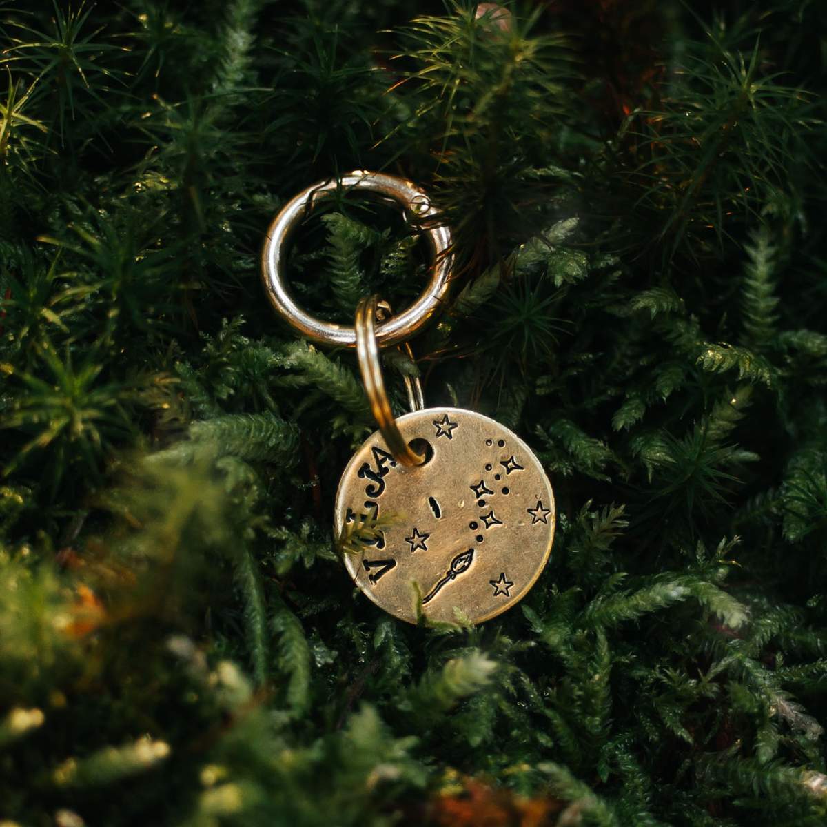 Hundemarke "fliegender Besen"