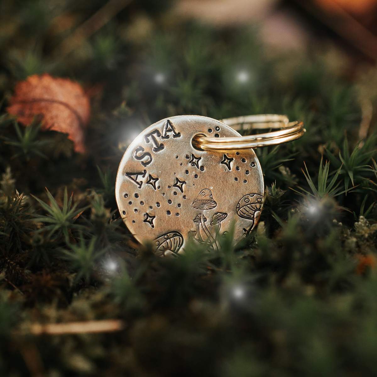 Hundemarke "Magic Mushroom"