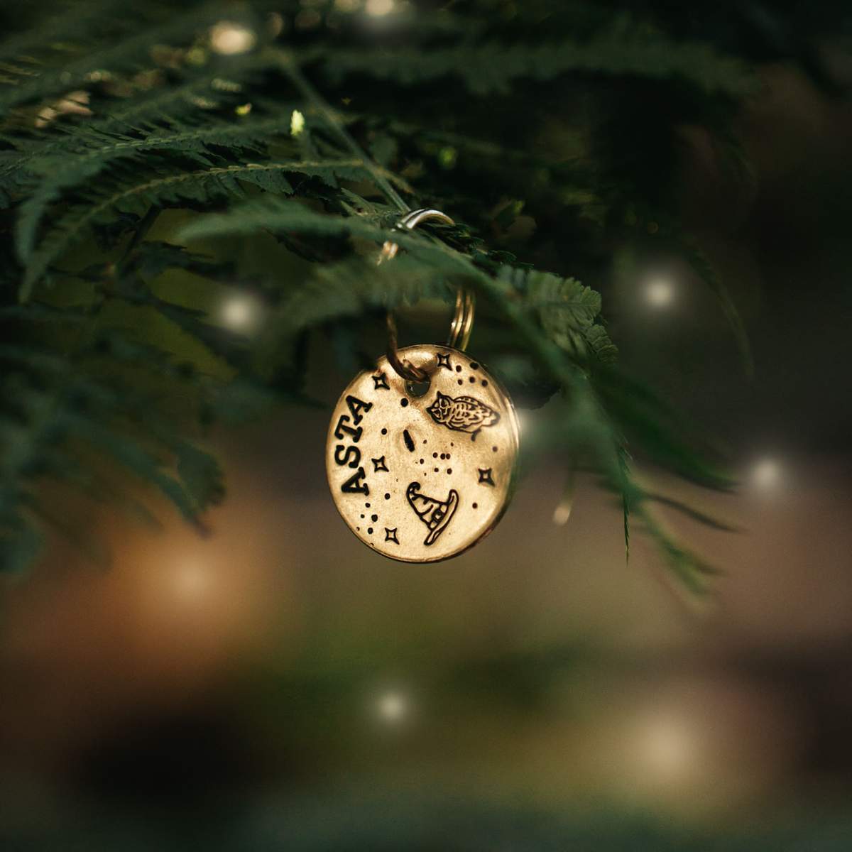 Hundemarke "Potterdog"